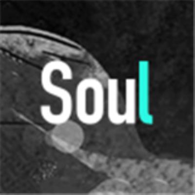 Soul软件下载