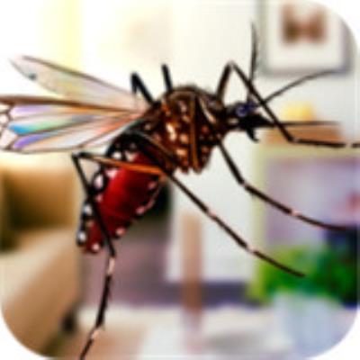 超级蚊子乱斗安卓游戏下载